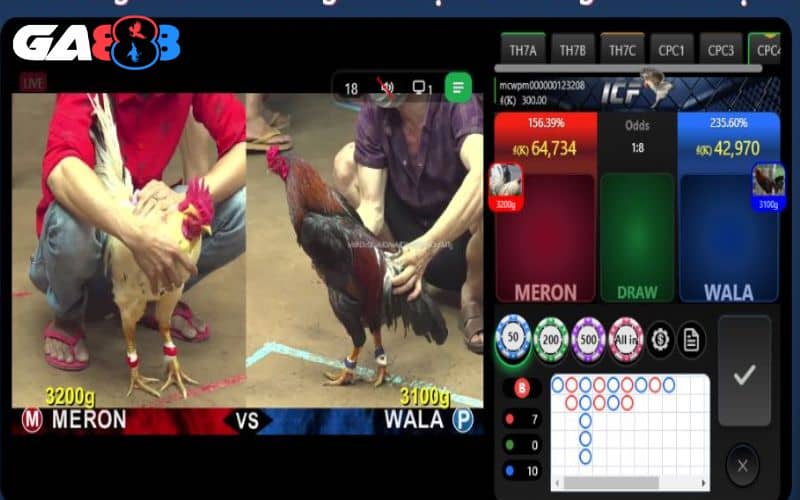 Đá gà Thomo online sẽ có hệ thống bảo mật cao