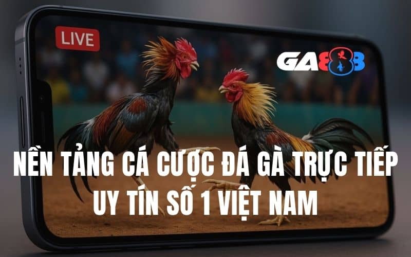 GA888 là nền tảng cá cược trực tuyến uy tín hàng đầu Việt Nam