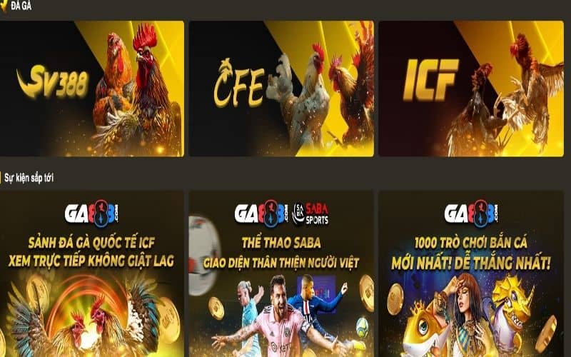 Mang tới nhiều sảnh đá gà nổi tiếng ở nhiều quốc gia