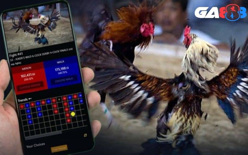 Người chơi phải giữ được cảm xúc khi xem đá gà online