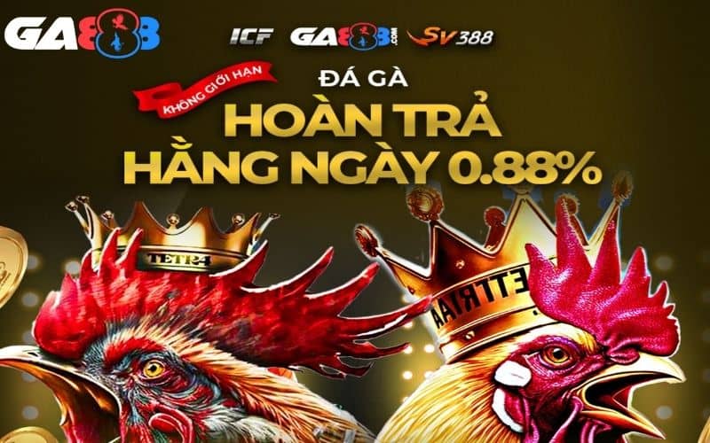 Người hội viên cũ sẽ nhận được ưu đãi hấp dẫn lên đến 28%