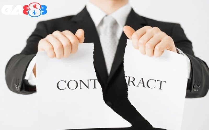 Nhà cái sẽ miễn chịu trách nhiệm khi người chơi gian lận