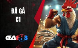 Đá Gà C1
