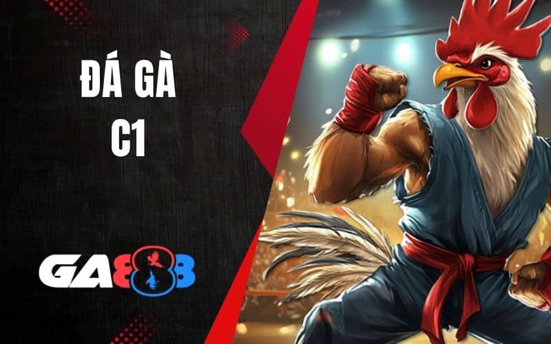 Đá Gà C1