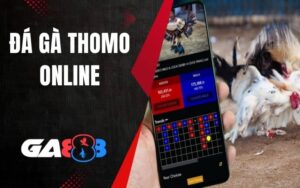 Đá Gà Thomo Online